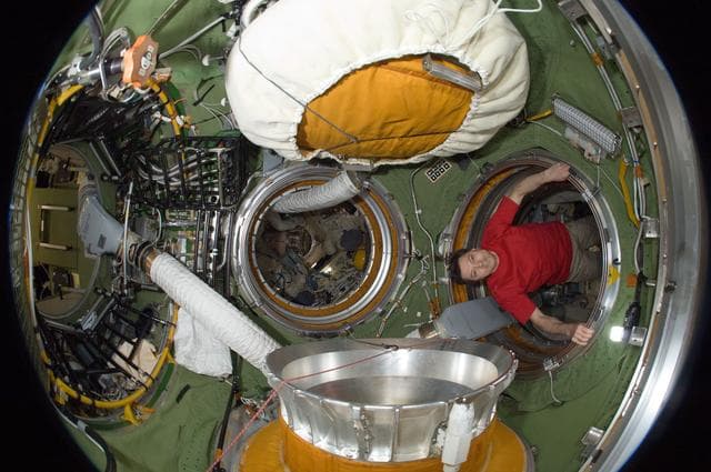 NASA image: Kononenko in Fisheye View of SM Transfer Compartment