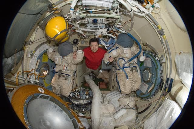 NASA image: Kononenko in Fisheye View of DC1