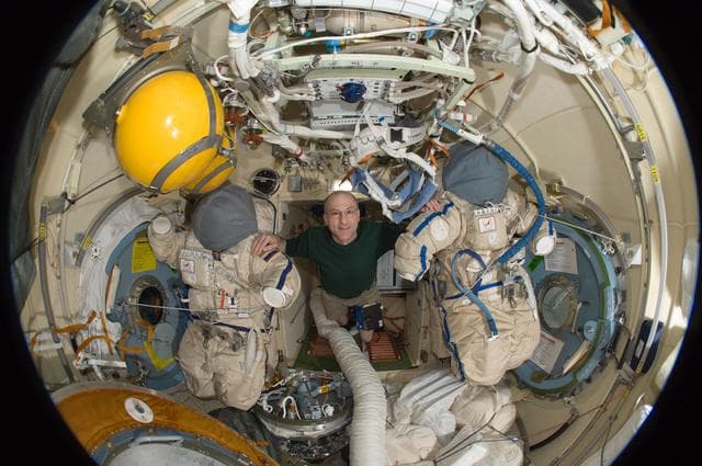 NASA image: Pettit in Fisheye View of DC1
