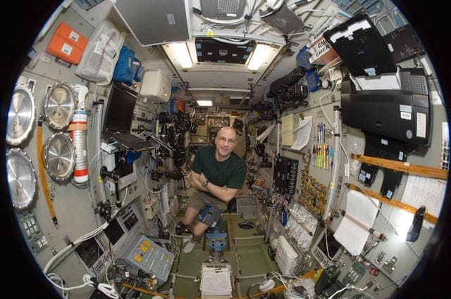 NASA image: Pettit in Fisheye View of SM