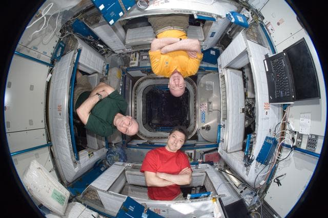 NASA image: Crewmembers in Fisheye View of Node 2