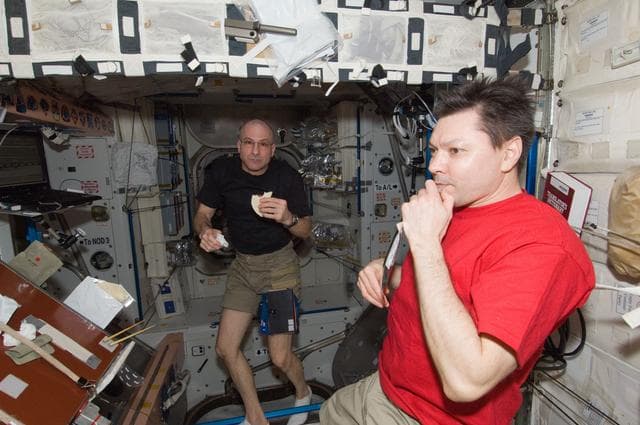 NASA image: Pettit and Kononenko Share a Meal in Node 1