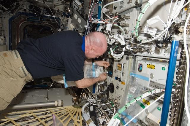 NASA image: Kuipers performs Potable Water Sample Collection