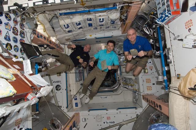NASA image: Kuipers, Kononenko and Pettit Share a Meal in Node 1
