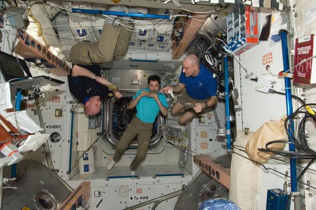 NASA image: Kuipers, Kononenko and Pettit Share a Meal in Node 1