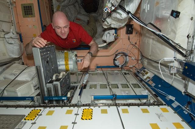 NASA image: Kuipers works with IVA Toolbox in Node 1