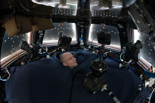 NASA image: Pettit with Cameras in the Cupola