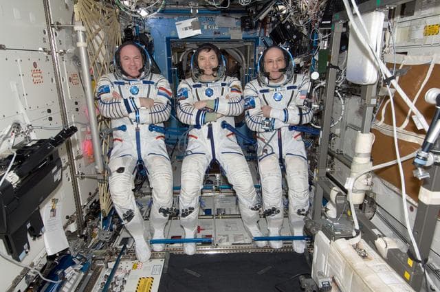 NASA image: iss031e134787