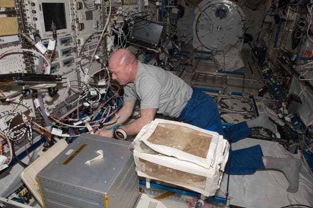 NASA image: Kuipers conducts Ryutai Rack Tilt Preparation