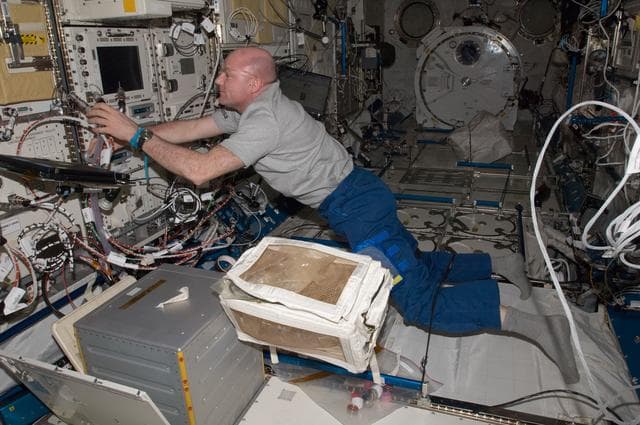 NASA image: Kuipers conducts Ryutai Rack Tilt Preparation