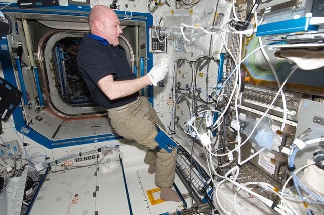 NASA image: iss031e143832