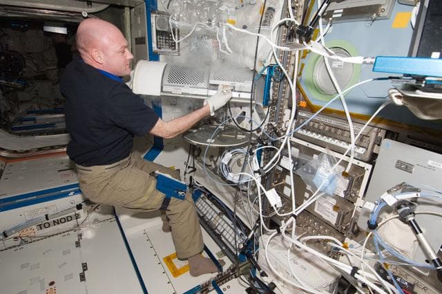 NASA image: iss031e143839