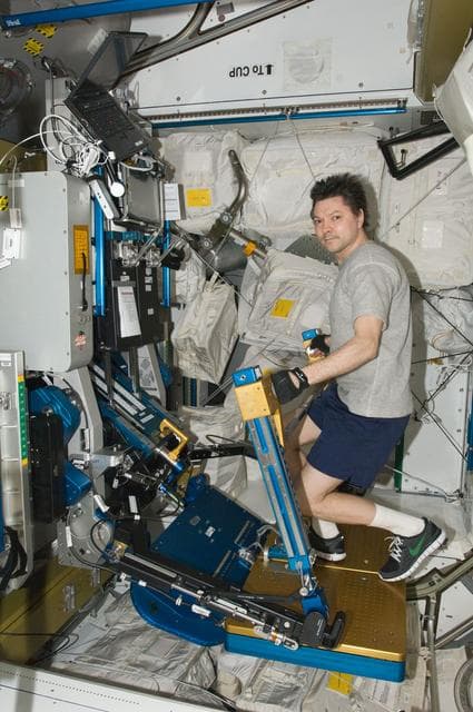 NASA image: iss031e144194