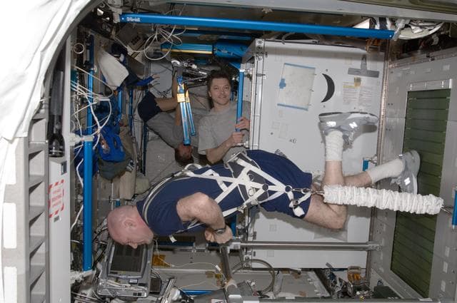 NASA image: iss031e144497