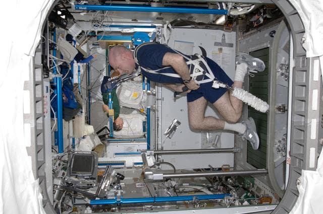 NASA image: iss031e144502