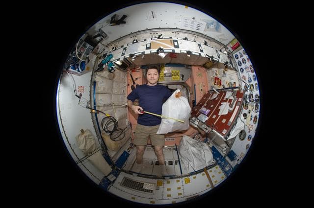 NASA image: iss031e148931