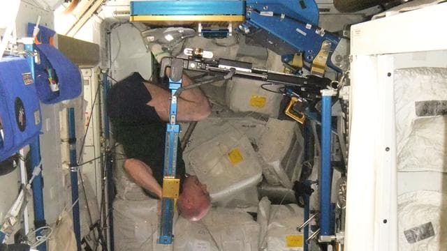 NASA image: Kuipers exercises on the ARED