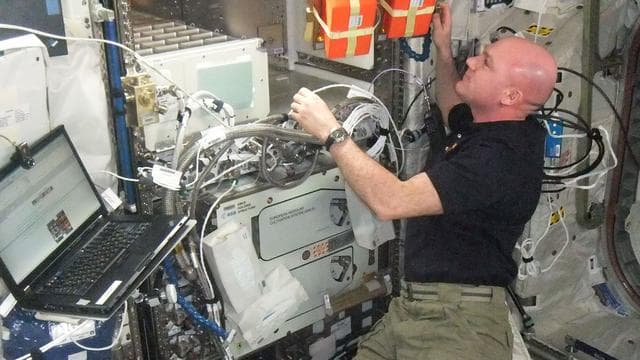 NASA image: Kuipers conducts ALTEA Shield Setup in Columbus