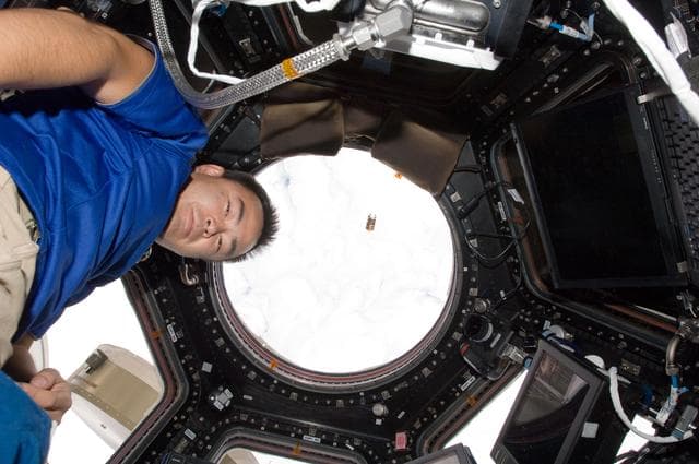 NASA image: Expedition 32 FE Hoshide poses for a photo in the Cupola