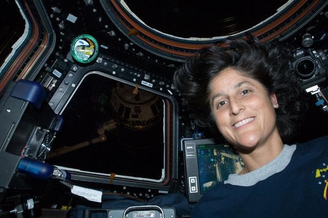 NASA image: Expedition 32 FE Williams poses for a photo in the Cupola