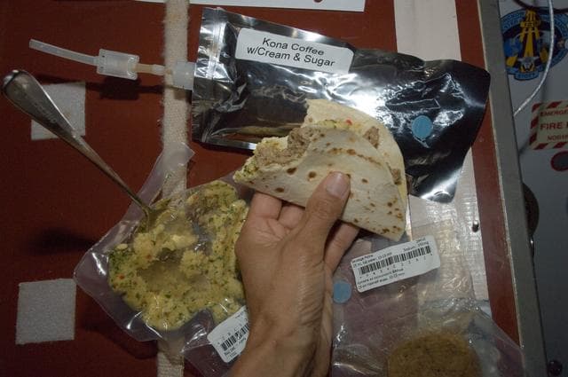 NASA image: View of Food