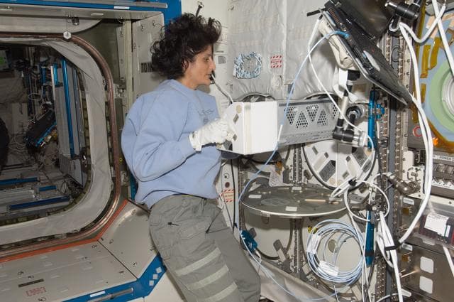 NASA image: FE Williams inserts Biological Samples into the MELFI-2