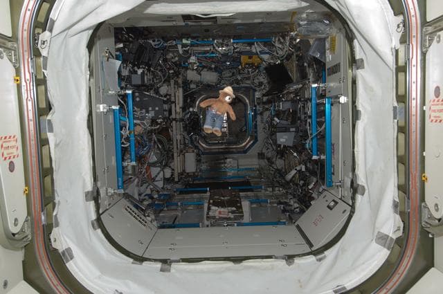 NASA image: Smokey the Bear Toy floating in the Node 1