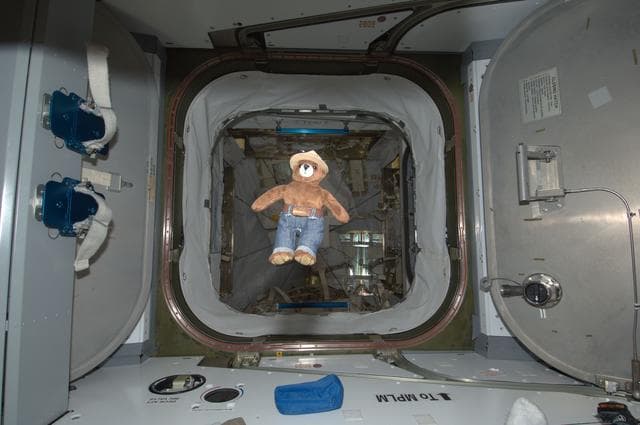 NASA image: Smokey the Bear Toy floating in ISS Hatchway