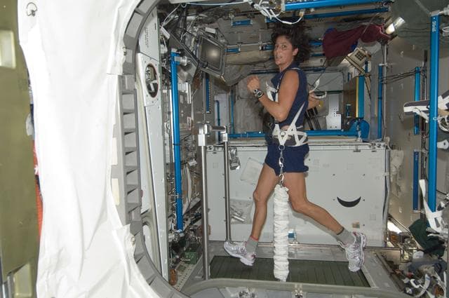 NASA image: FE Williams exercises on the T2 Treadmill