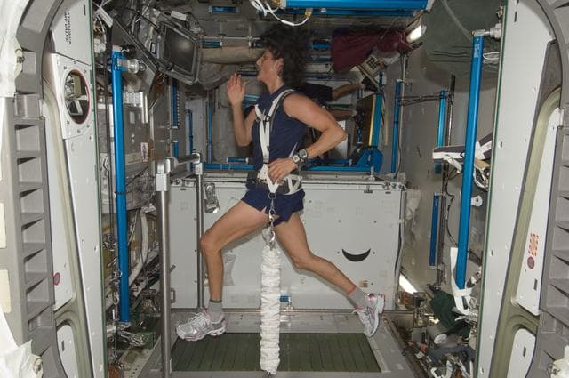 NASA image: FE Williams exercises on the T2 Treadmill