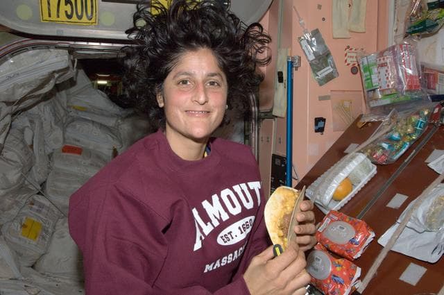 NASA image: Expedition 32 FE Williams in Node 1