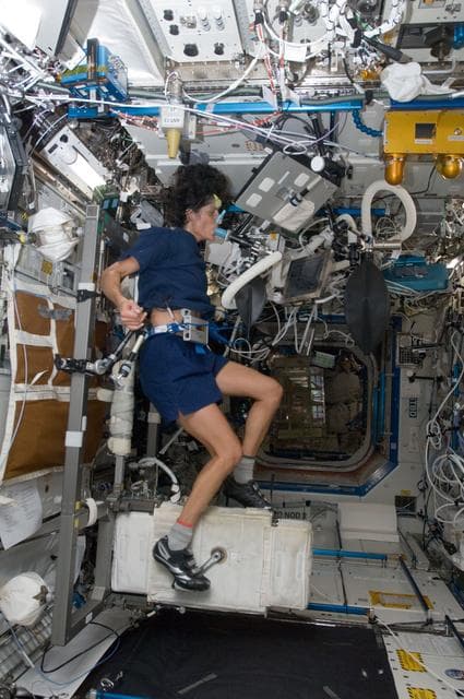 NASA image: Williams with VO2max