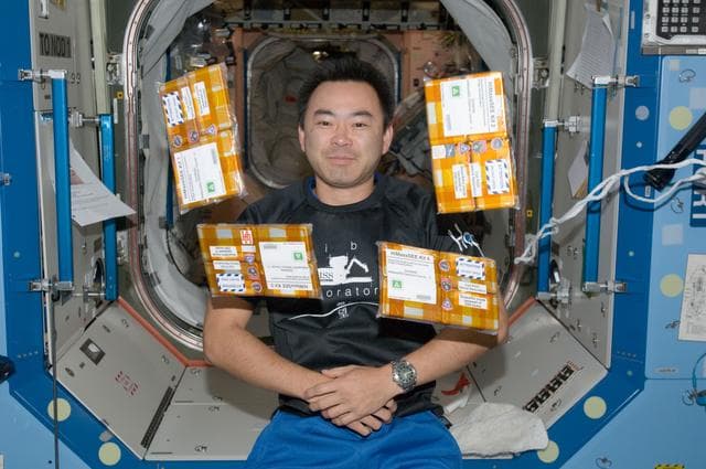 NASA image: Hoshide with HiMassSee kits