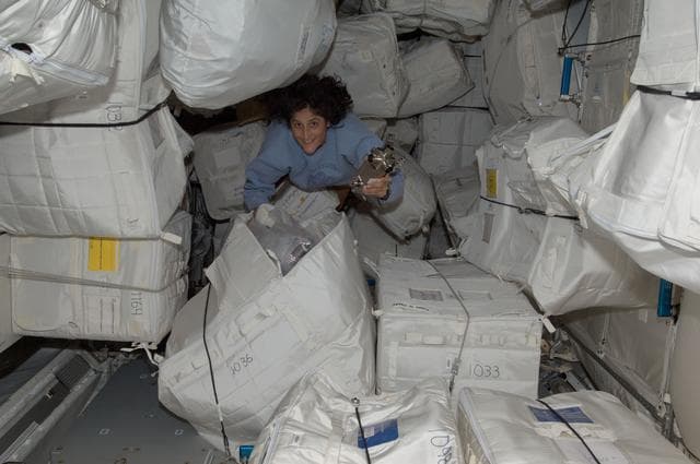 NASA image: Williams in PMM