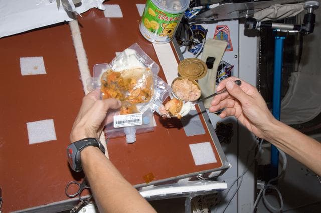 NASA image: Food packets