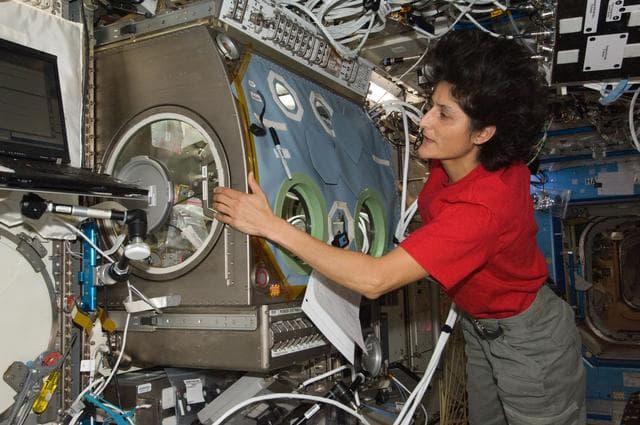 NASA image: InSPACE3 hardware installation