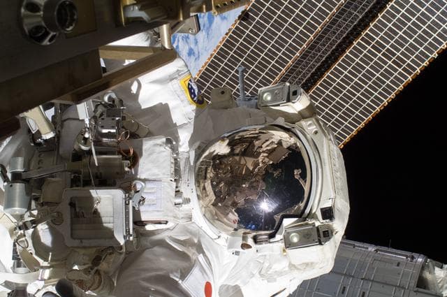 NASA image: iss032e025163