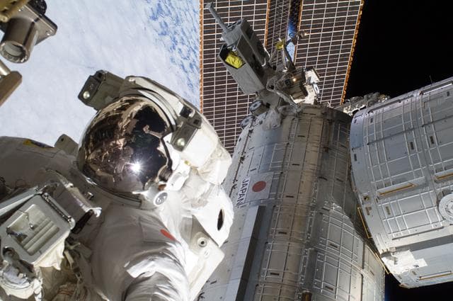 NASA image: iss032e025171
