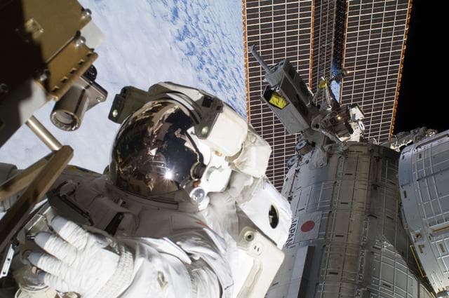 NASA image: iss032e025177