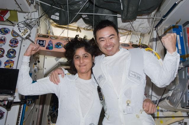 NASA image: iss032e025361