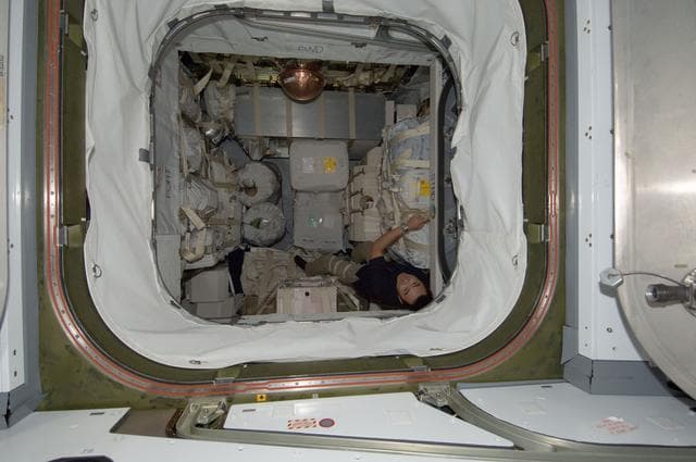 NASA image: iss032e026310