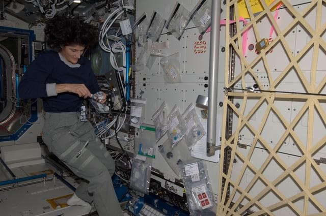NASA image: iss032e026722