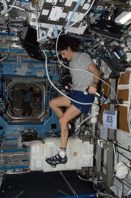NASA image: iss032e027050