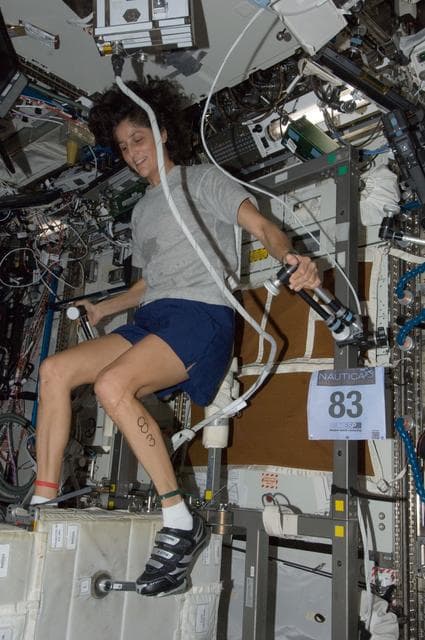 NASA image: iss032e027051