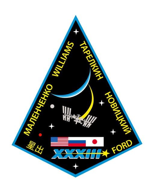 NASA image: EXP_33_patch_FINAL_OL