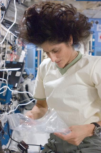 NASA image: NANORACK