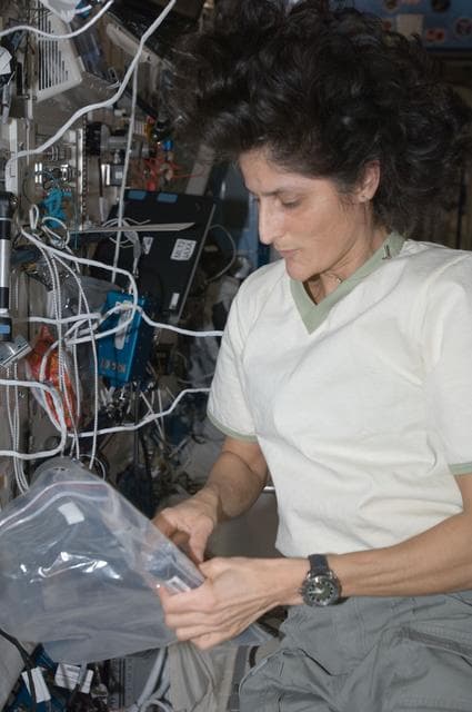 NASA image: NANORACK