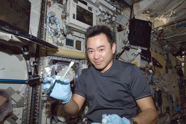 NASA image: iss033e012541
