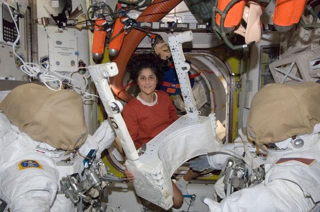 NASA image: Williams in U.S. Airlock with EVA equipment