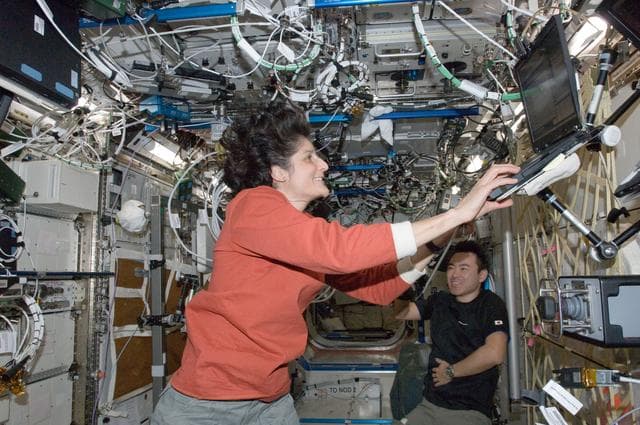 NASA image: Williams in Laboratory